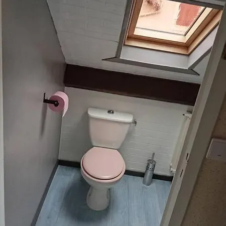 Proche Sanctuaire Duplex 12 Voyageurs 150m2 Lit Bebe Et Balcon Fumeur En Exterieur Apartment Lourdes