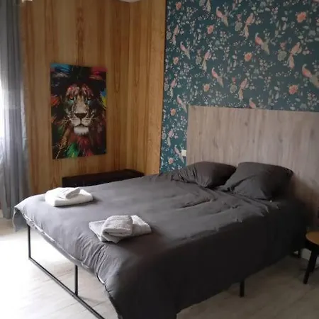 Proche Sanctuaire Duplex 12 Voyageurs 150m2 Lit Bebe Et Balcon Fumeur En Exterieur Apartment Lourdes