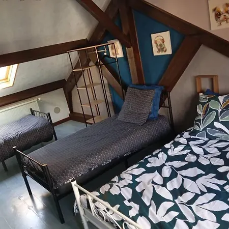 Proche Sanctuaire Duplex 12 Voyageurs 150m2 Lit Bebe Et Balcon Fumeur En Exterieur Lourdes
