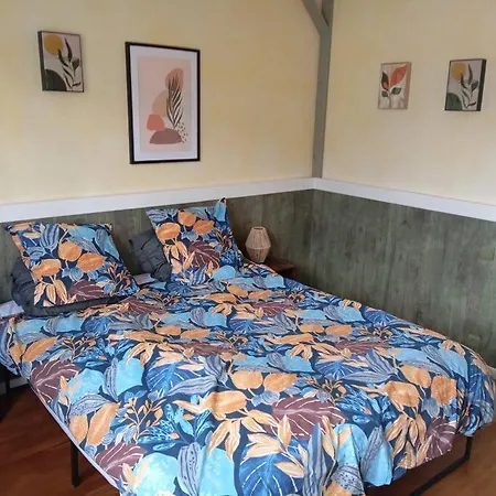 Proche Sanctuaire Duplex 12 Voyageurs 150m2 Lit Bebe Et Balcon Fumeur En Exterieur Apartment *