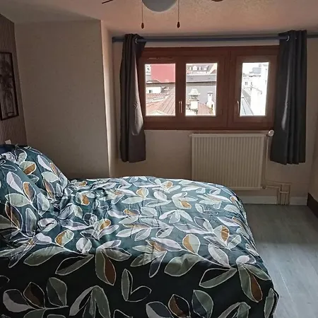 Proche Sanctuaire Duplex 12 Voyageurs 150m2 Lit Bebe Et Balcon Fumeur En Exterieur * Lourdes